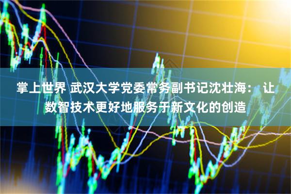 掌上世界 武汉大学党委常务副书记沈壮海： 让数智技术更好地服务于新文化的创造