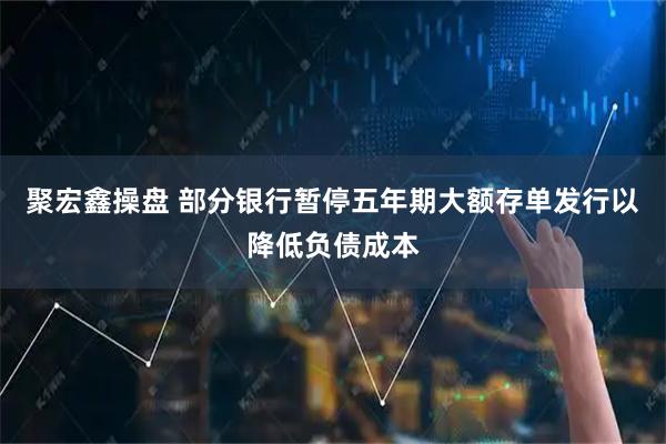 聚宏鑫操盘 部分银行暂停五年期大额存单发行以降低负债成本