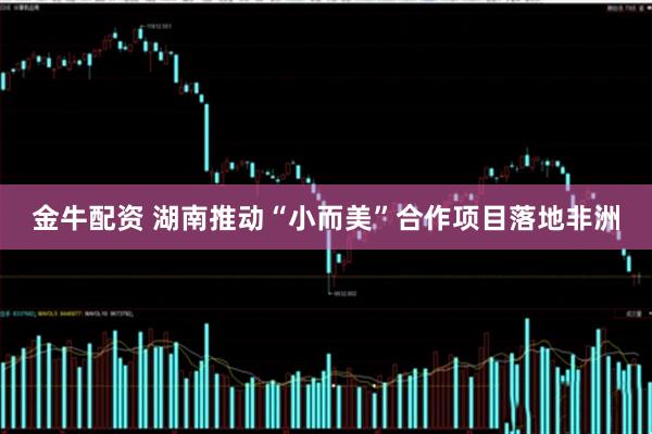 金牛配资 湖南推动“小而美”合作项目落地非洲