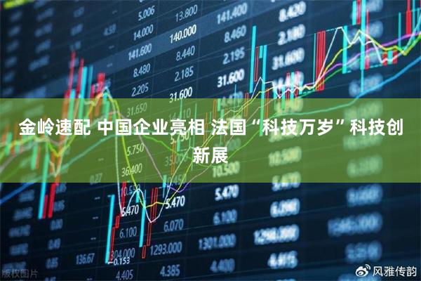 金岭速配 中国企业亮相 法国“科技万岁”科技创新展