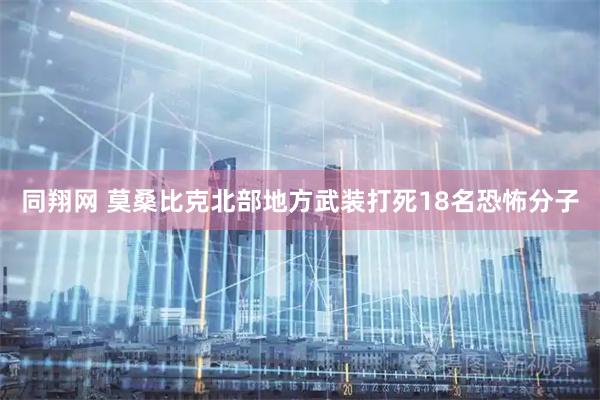 同翔网 莫桑比克北部地方武装打死18名恐怖分子