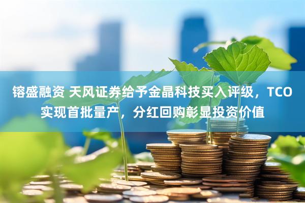 镕盛融资 天风证券给予金晶科技买入评级，TCO实现首批量产，分红回购彰显投资价值