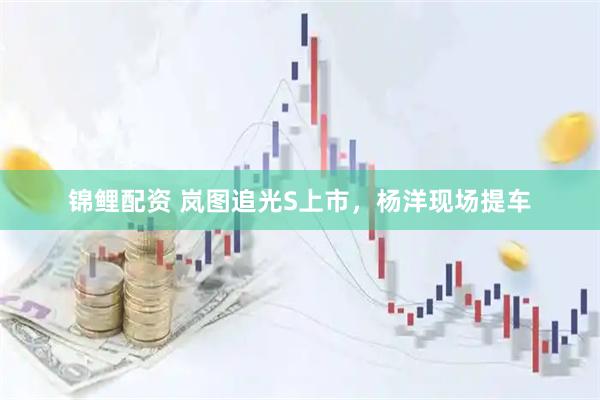 锦鲤配资 岚图追光S上市，杨洋现场提车